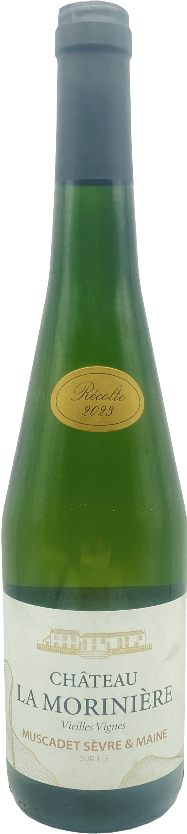 Muscadet Sevre et Maine 2023